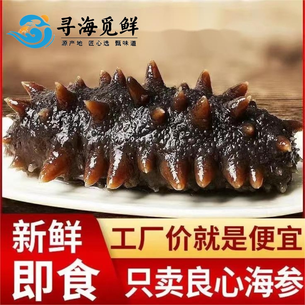 12717142.【寻海觅鲜】大连即食海参 鲜食 鲜活海参直接加工 现捕现蒸 自然原味 非淡干 速冻 顺丰发货