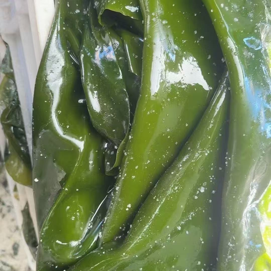 12698429.【寻海觅鲜】新鲜盐渍海带头   煲汤 凉拌佳品   超长（30-50公分） 脆嫩海带头  五斤包邮