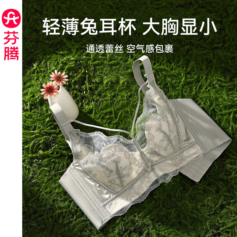 13473661.芬腾【大胸显小 性感蕾丝】女士内衣透气承托/文胸软钢圈防下垂
