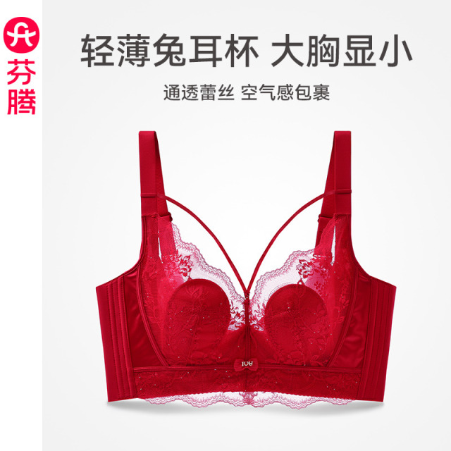 13473661.芬腾【大胸显小 性感蕾丝】女士内衣透气承托/文胸软钢圈防下垂