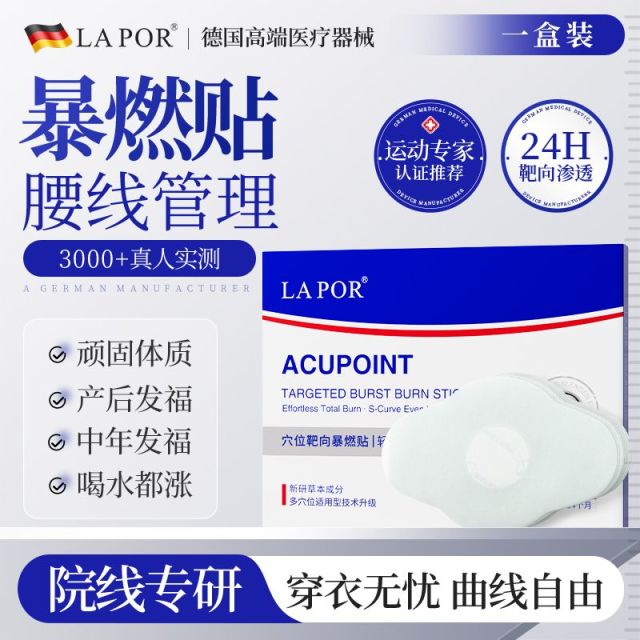 13521397.LAPOR 穴位靶向暴燃贴