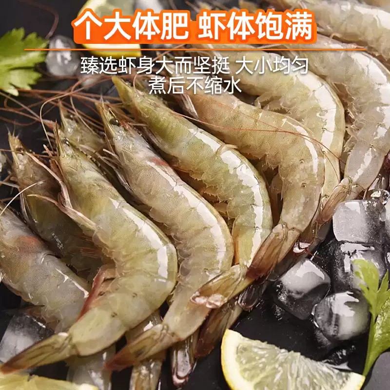 13291882.厄瓜多尔白虾3040 1.65kg