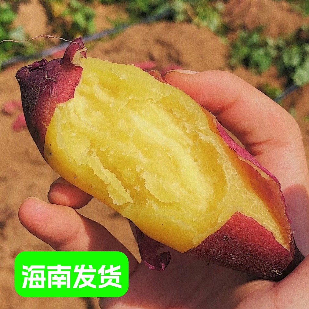 13207730.海南桥头地瓜粉糯如栗 入口即化 无丝无筋 顺滑到底（发芽正常现象去掉即可介意勿拍） 海南发货