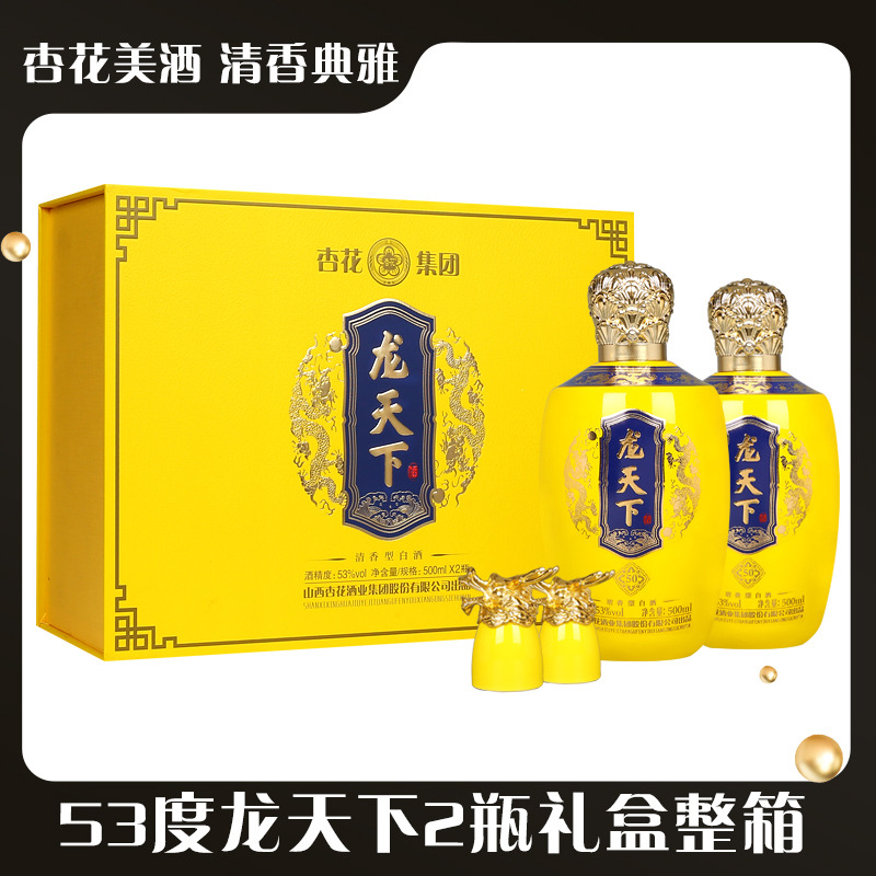 13241145.杏花集团53度龙天下500ml*2瓶礼盒整箱套装