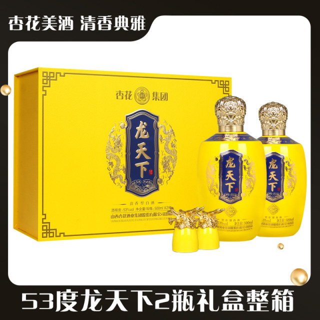 13241145.杏花集团53度龙天下500ml*2瓶礼盒整箱套装