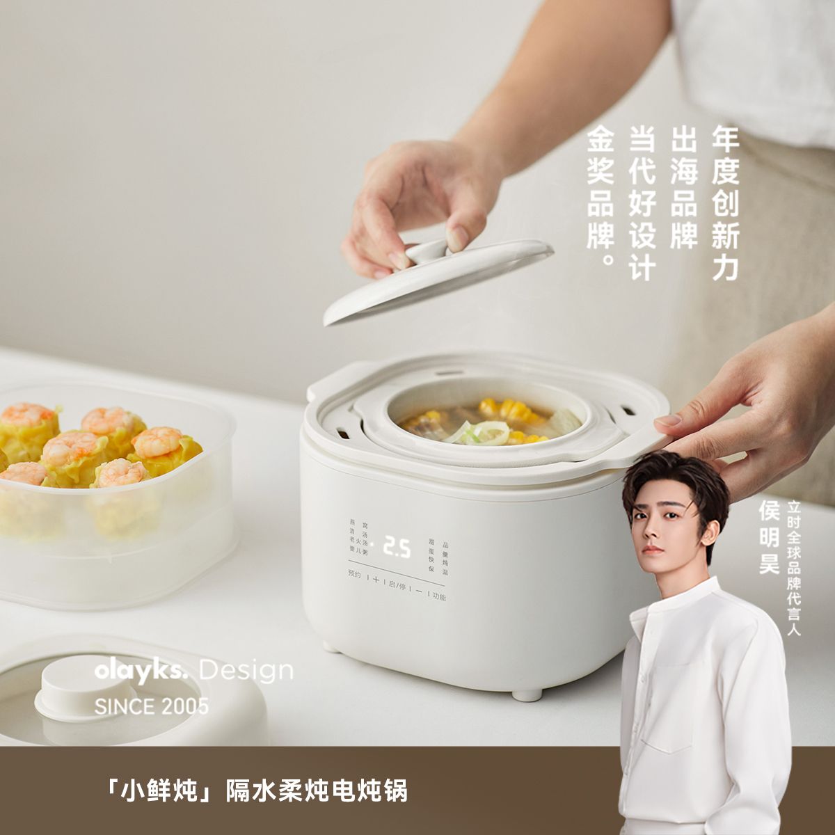 13470886.olayks立时电炖锅燕窝小炖盅隔水炖家用煲汤宝宝煮粥锅杯壶用具冷水壶婴儿辅食锅