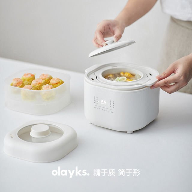 13470886.olayks立时电炖锅燕窝小炖盅隔水炖家用煲汤宝宝煮粥锅杯壶用具冷水壶婴儿辅食锅