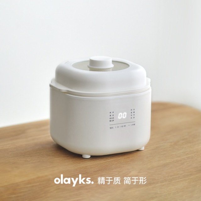 13470886.olayks立时电炖锅燕窝小炖盅隔水炖家用煲汤宝宝煮粥锅杯壶用具冷水壶婴儿辅食锅