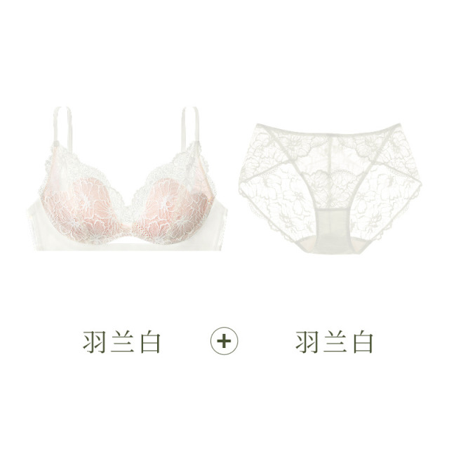 12898091.【小蔷薇套装】软支撑蕾丝内衣大胸显小侧收胸罩小胸聚拢文胸套装