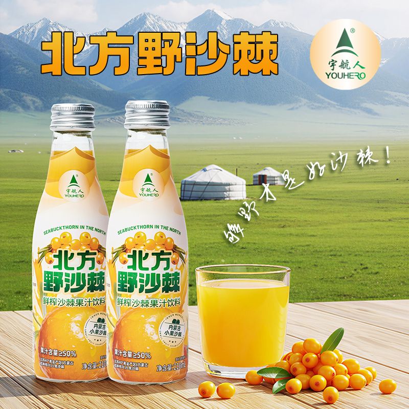13330503.宇航人北方野沙棘鲜榨沙棘果汁饮料210ml*10瓶/箱