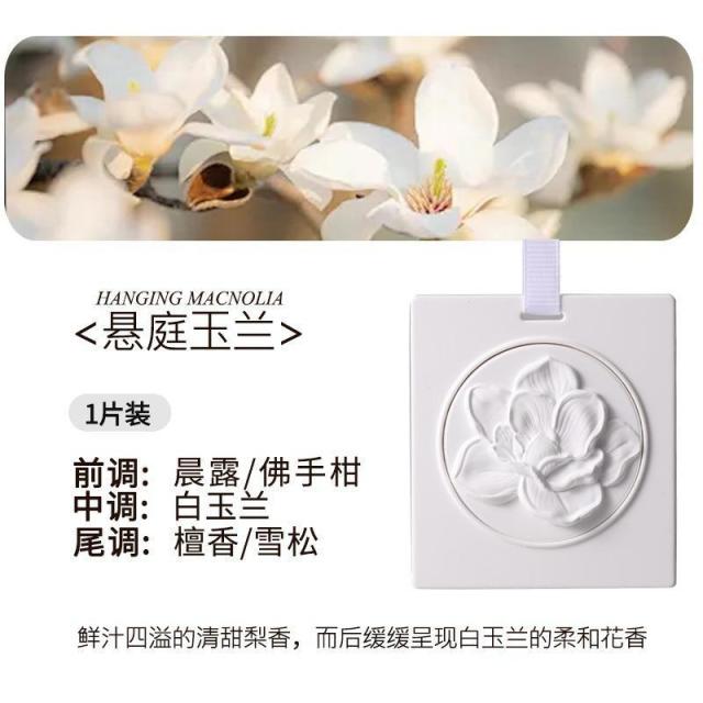 13434754.【两件装】车载后视镜蜡片香薰挂件卧室衣柜香片石膏蜡片香包衣橱家用