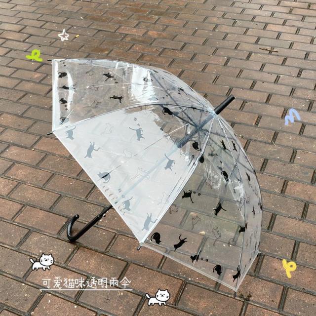 13451923.磨砂晴雨清新两用透明可爱雨伞自动便携儿童卡通直杆