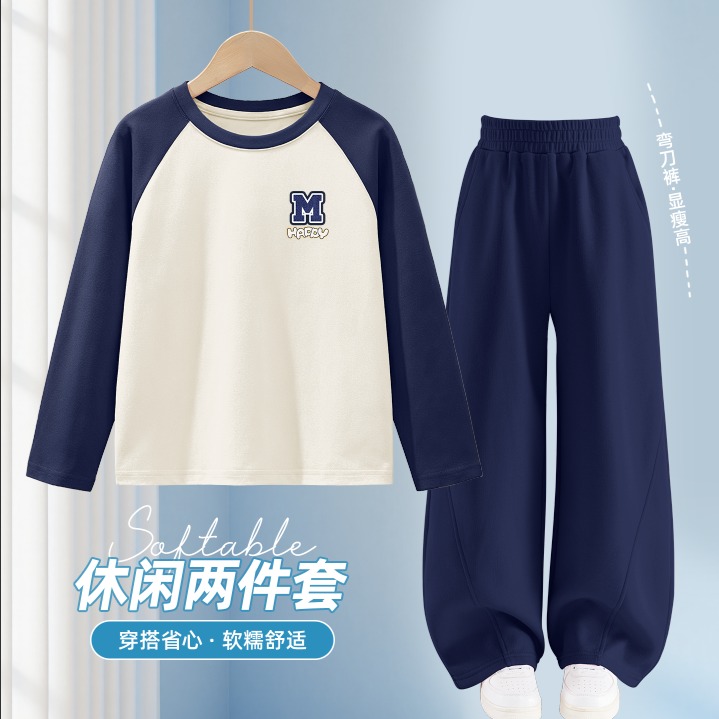 13791619.男童秋季套装休闲纯棉男大童长袖t恤秋装2026新款儿童阔腿裤