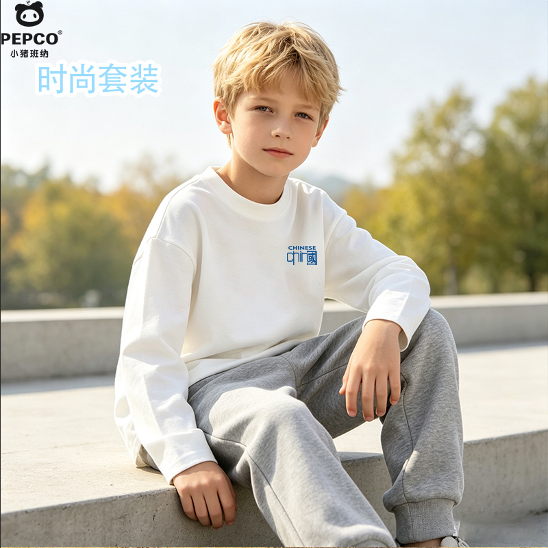 13729737.休闲男童秋季套装2026新款舒适休闲T恤卫裤裤套装