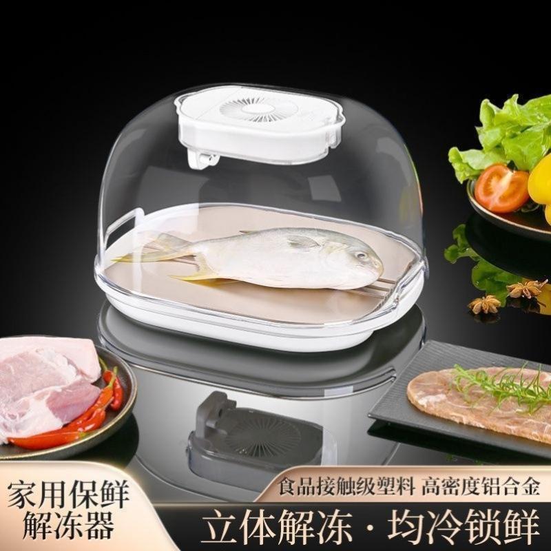 13585244.解冻家用恒温多功能保鲜快速厨房解冻机紫外线