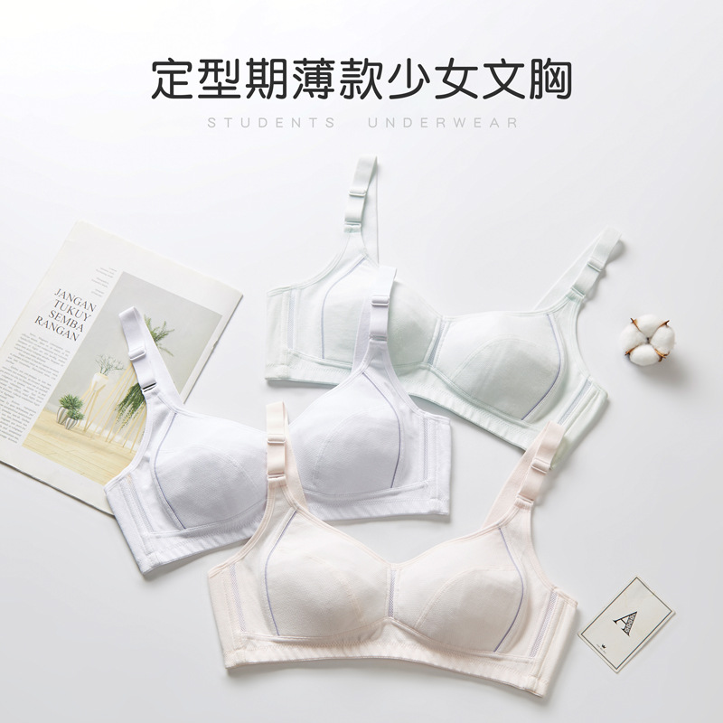 13695520.发育期少女文胸女生聚拢收副乳胸罩初高中大学生可调节纯棉内衣