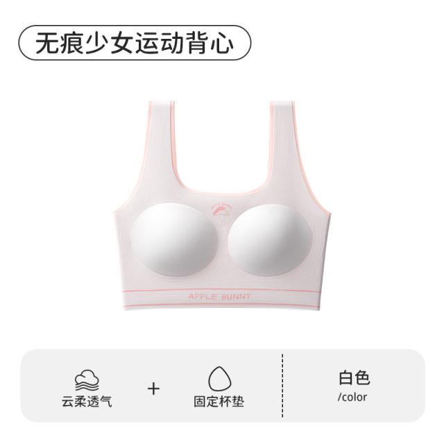 13696201.新款二阶段初高中生12-18岁发育期女童小背心少女内衣A类抗菌文胸