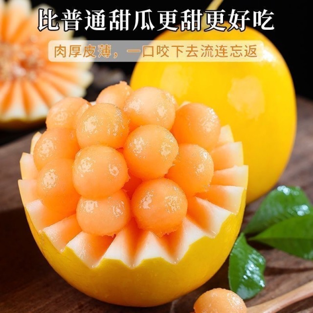 13657096.【验货主推款】寻味计划 甘肃民勤沙漠蜜瓜 脆甜多汁多规格可选