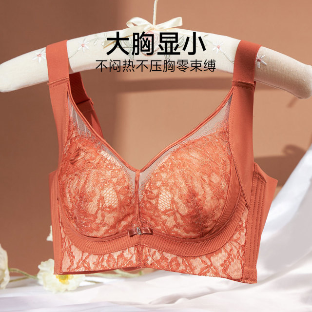 13667244.三明治无钢圈性感调整文胸（C/D-）