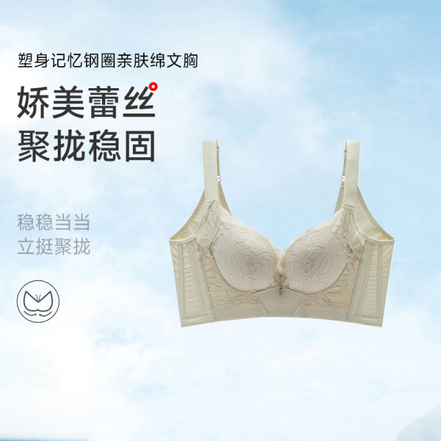 13672777.塑身记忆钢圈亲肤绵塑身文胸（B/C-）