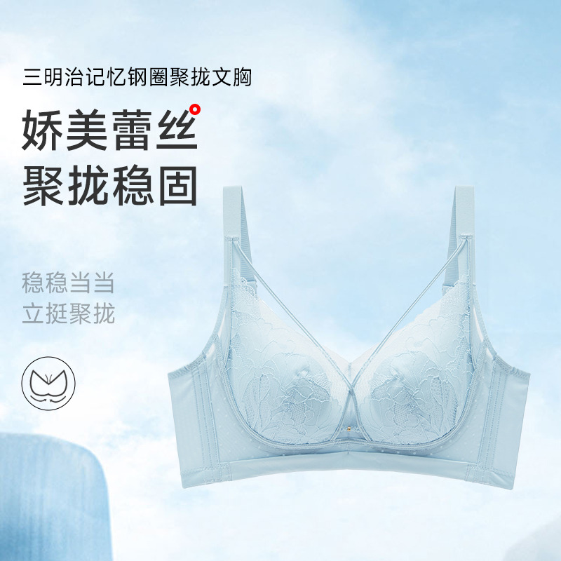 13673482.三明治记忆钢圈聚拢文胸(C/D-)