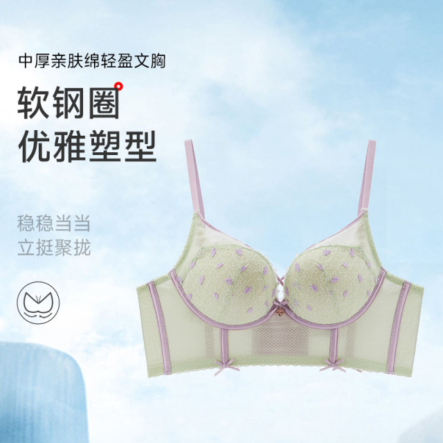 13673978.亲肤绵软钢圈轻盈文胸（A+/B）