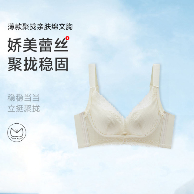 13674526.聚拢无钢圈亲肤绵文胸(A+/B)