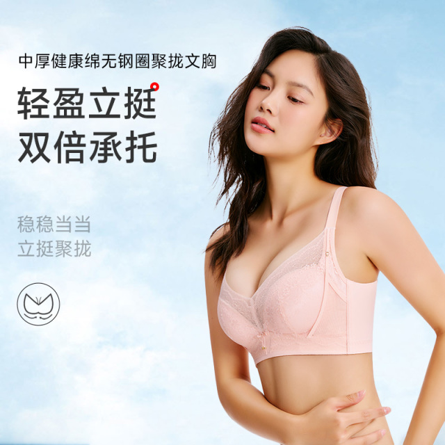 13674148.健康绵无钢圈聚拢文胸(A+/B)260