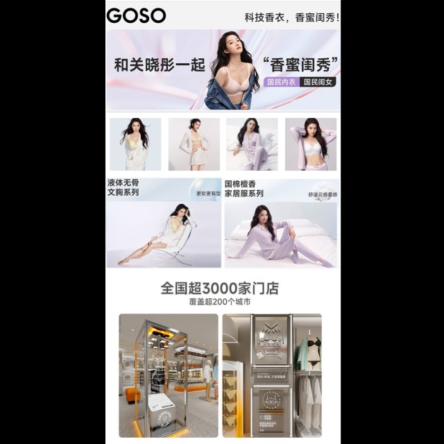 13677369.GOSO记忆钢圈调整型文胸 聚拢美背内衣（C/D-）