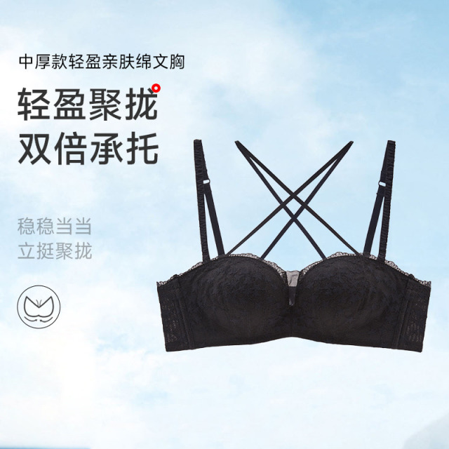 13677747.轻盈无钢圈亲肤绵文胸（A+/B）273