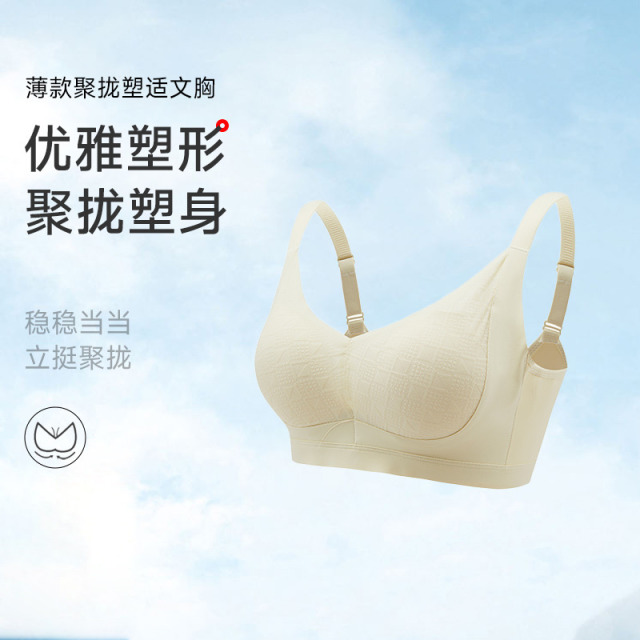 13677784.无钢圈聚拢塑适文胸(B/C-)502
