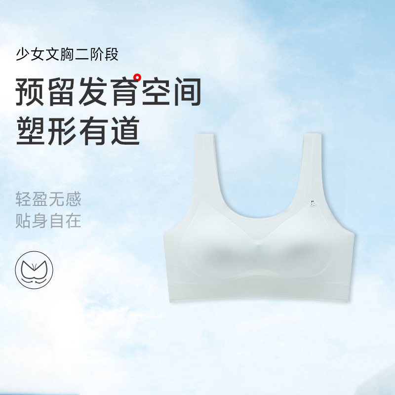 13678264.无钢圈少女文胸二阶段