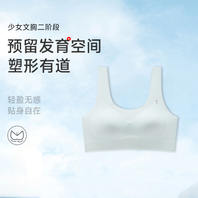 13678264.无钢圈少女文胸二阶段
