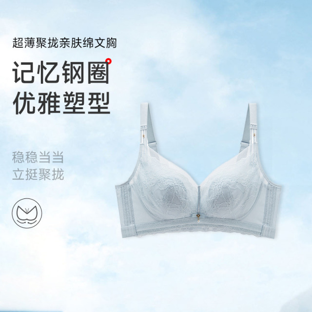 13677677.聚拢记忆钢圈亲肤绵文胸（C/D-）