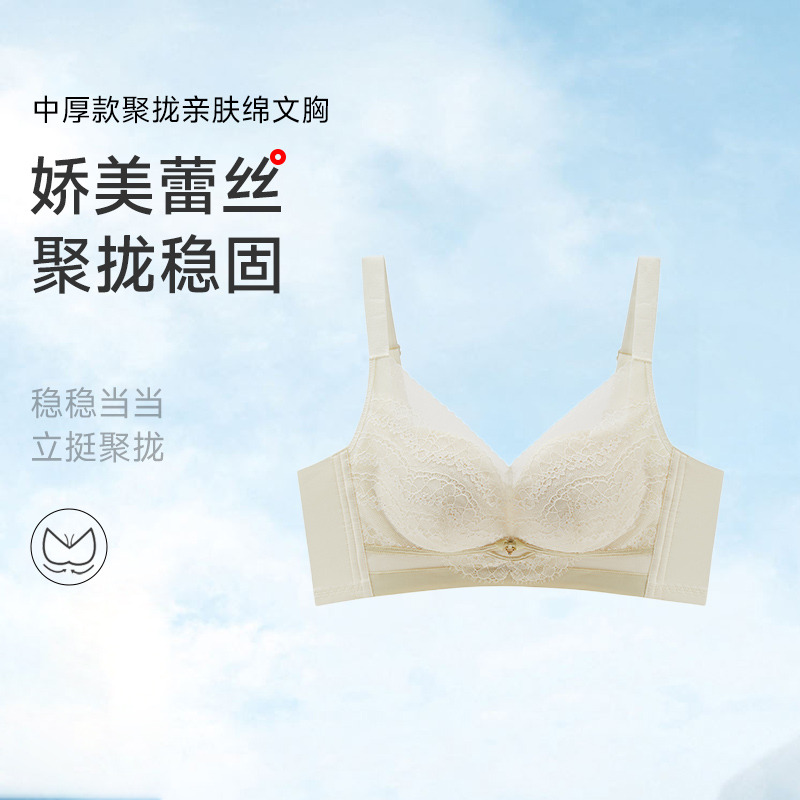 13677781.聚拢无钢圈亲肤绵文胸(A+/B)