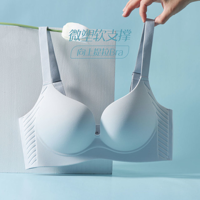 13686531.亲肤绵无钢圈聚拢文胸（B/C-)