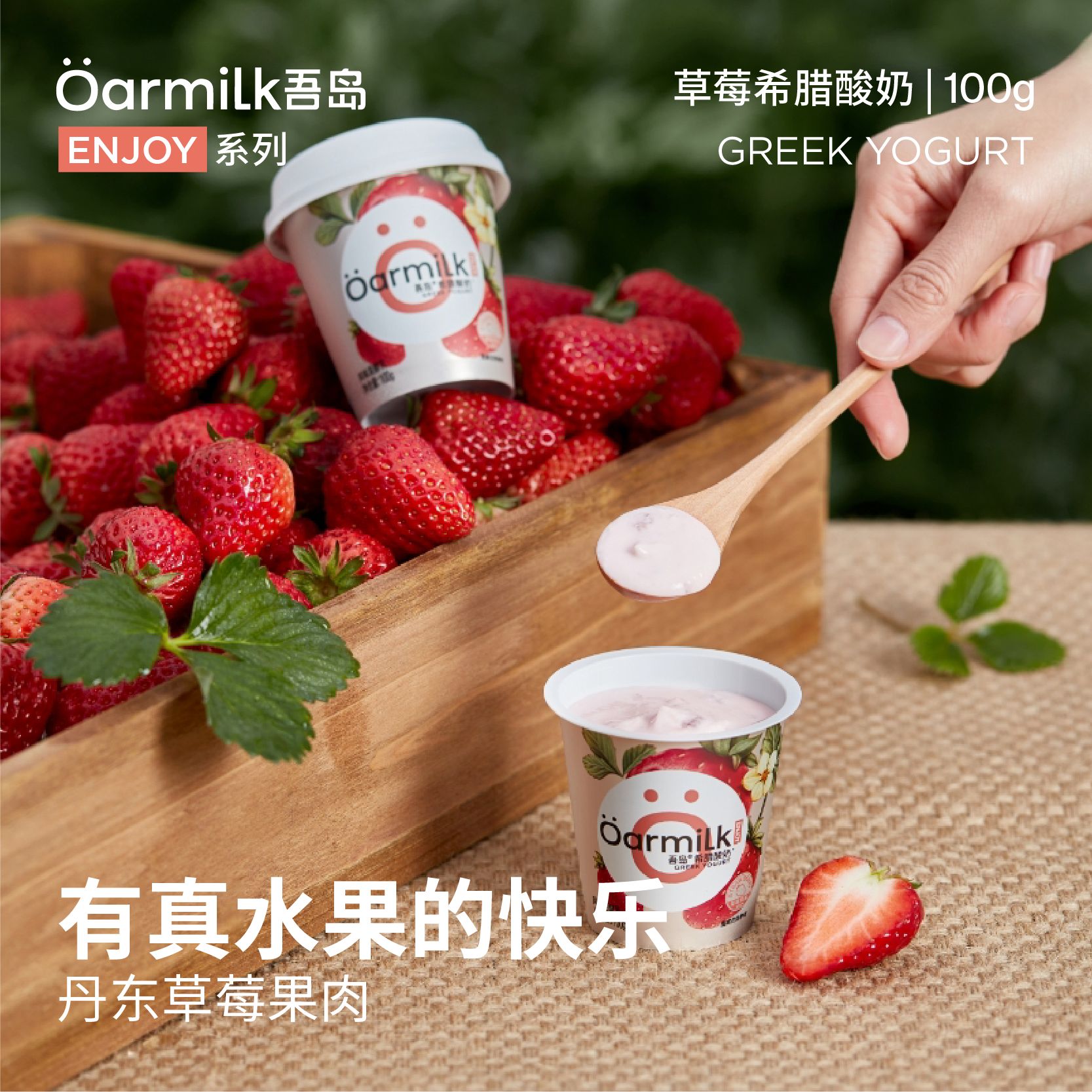 13774611.【网红爆款】吾岛酸奶重磅开团！希腊酸奶中的“品质之选”，丝滑浓郁，锁住天然营养！Oarmilk吾岛酸奶/希腊酸奶任选装