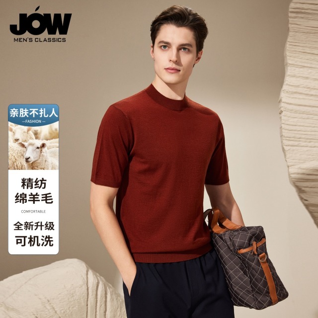 12469092.乔沃【精纺绵羊毛 多色可选】亲肤不扎短袖T恤男简约百搭半袖打底衫