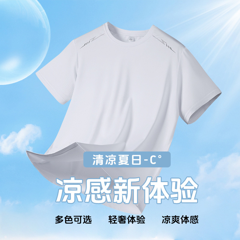 11754319.VPN 冰丝短袖男夏季宽松跑步健身t恤大码运动上衣