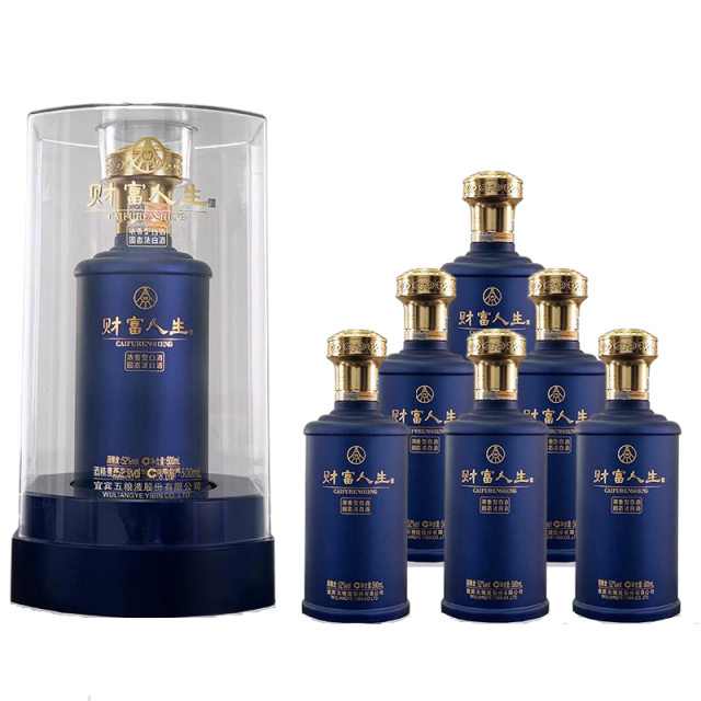 13205082.【上新】五粮液股份公司出品 财富人生.蓝韵浓香白酒52度500ml*6瓶(整箱)