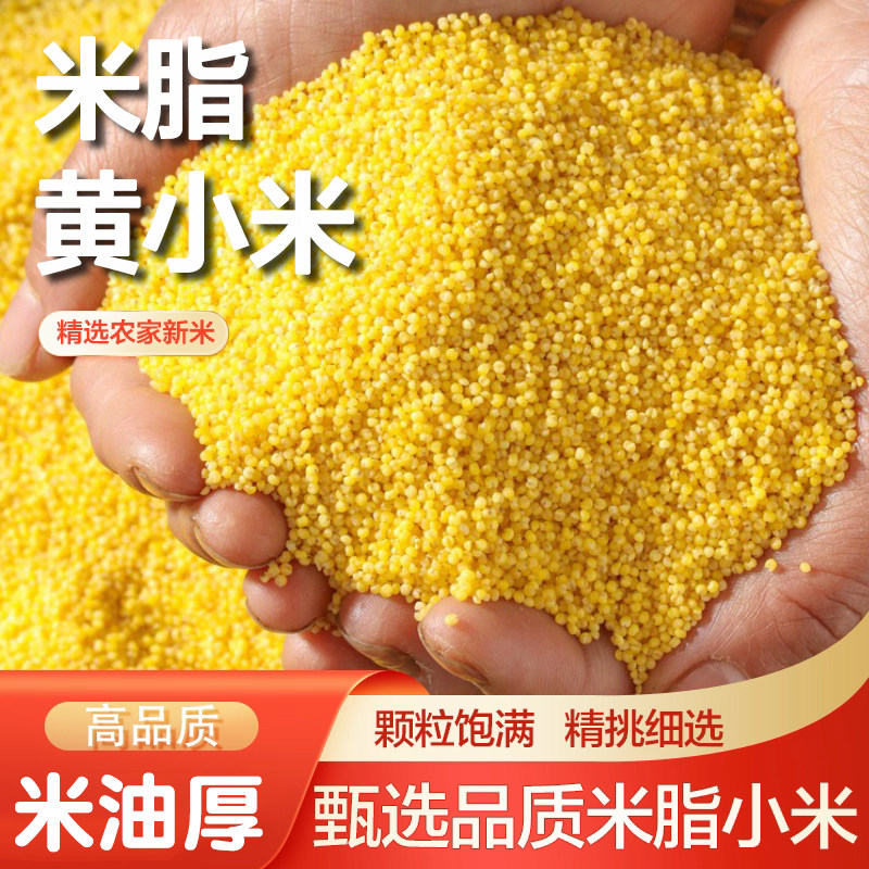 13309568.【买1送1】东北小米杂粮500g黄小米新米熬粥1斤/袋