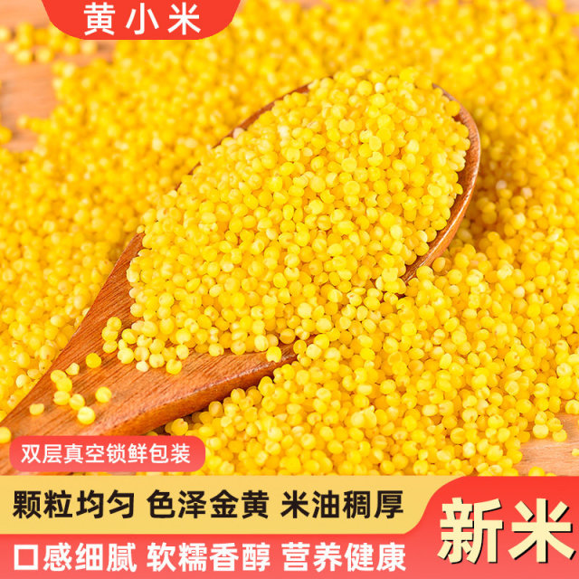 13309568.【买1送1】东北小米杂粮500g黄小米新米熬粥1斤/袋