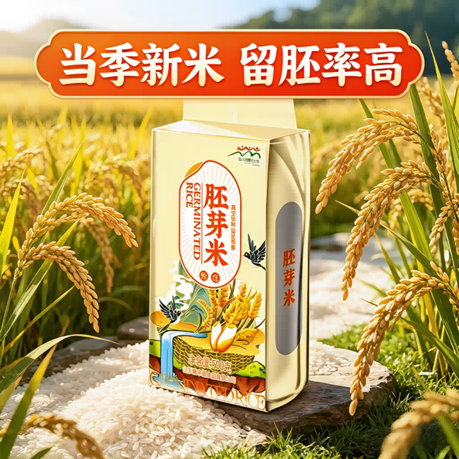 13447954.胚芽米500g*3袋 保留大米胚芽粳米谷物