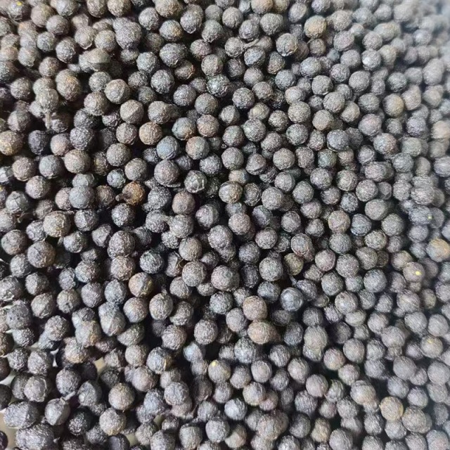 12697842.冠耳 干木姜子100g 山苍籽干货炒菜煲汤山胡椒木姜子酸汤火锅调味料