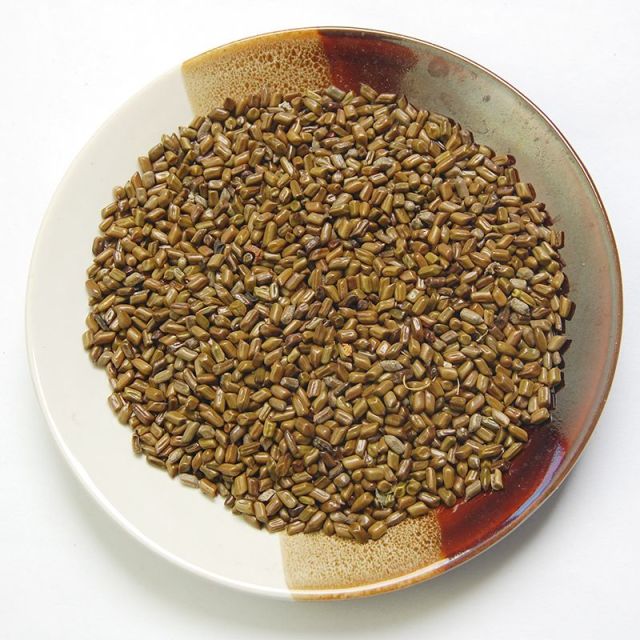 13171384.冠耳 决明子茶  饱满大粒炒制熟决明子花草茶罐装