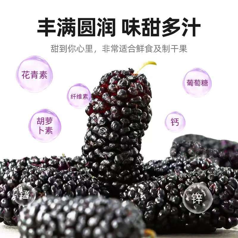 13203399.冠耳 桑葚干230g/罐  即食黑桑椹  无沙桑椹子滋补养生茶 泡酒
