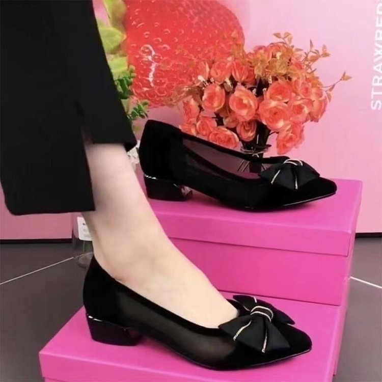 13486776.德国飞鹰2026年夏季新款网纱单鞋女低跟百搭镂空网面女