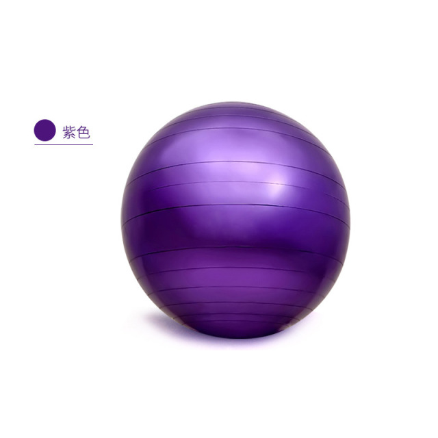 10860955.望远行 瑜伽球加厚防爆初学者健身球儿童平衡球瑜伽辅助用品秒杀