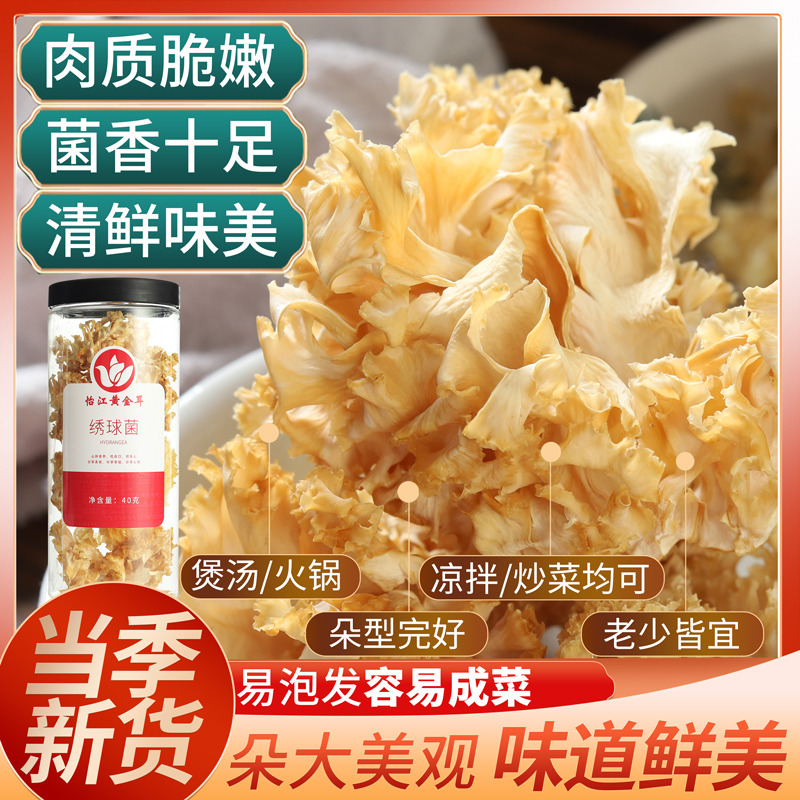 12687256.怡江黄金耳 新鲜绣球菌干货40克/罐火锅煲汤凉拌菜食材