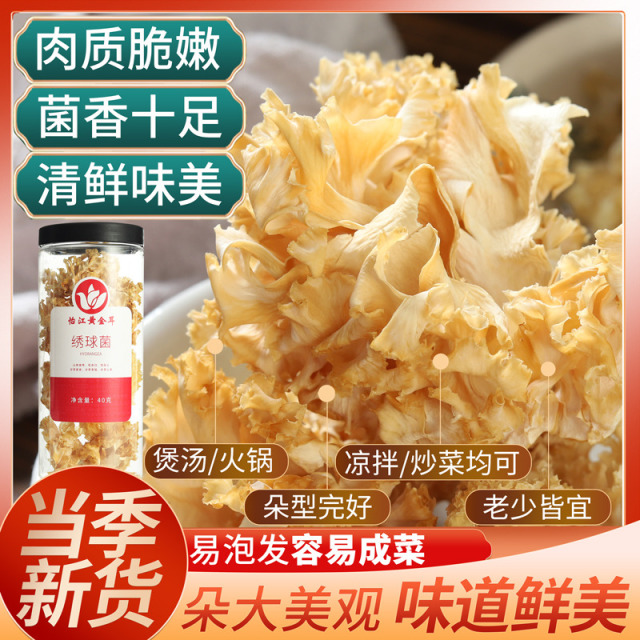 12687256.怡江黄金耳 新鲜绣球菌干货40克/罐火锅煲汤凉拌菜食材